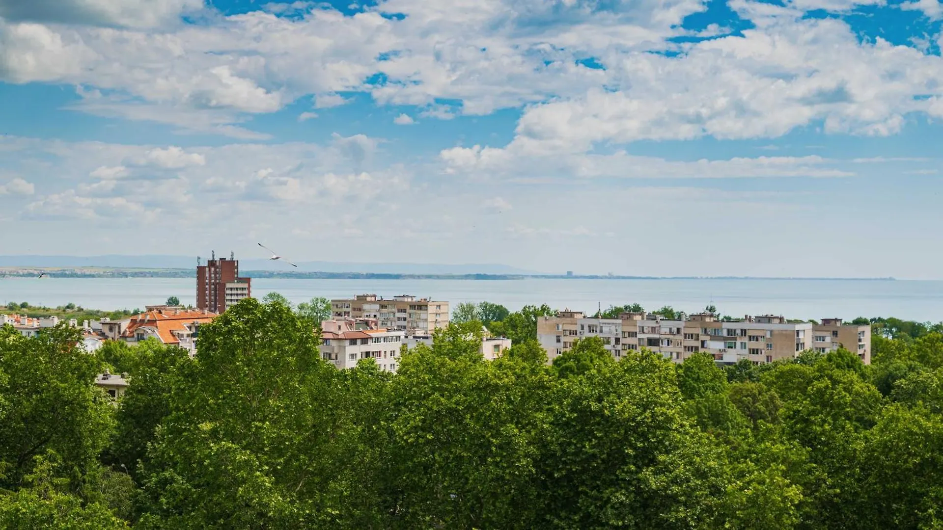Lazur Delight Apartment Burgas Bulgaria
